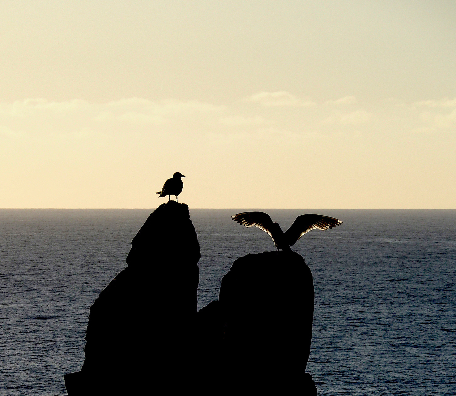 Mercè Casadellà. DESCANS