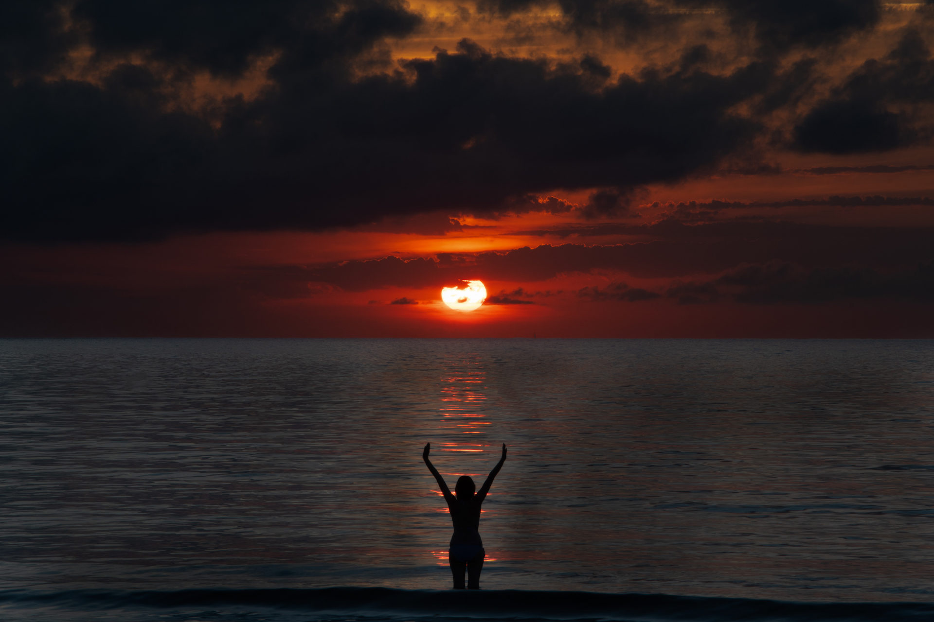 José Manuel Muriel. SILUETA