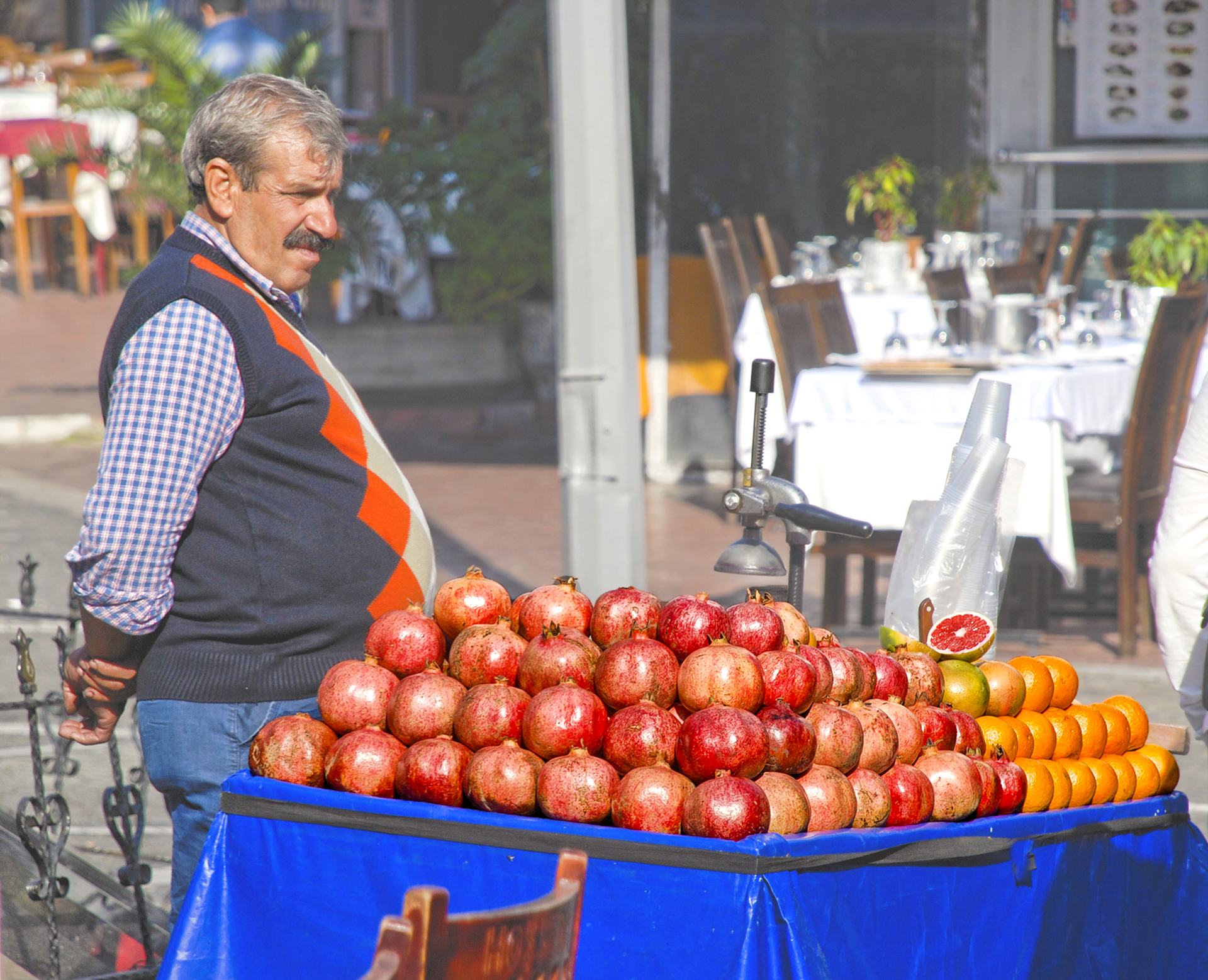 Enric Comellas. QUINES MAGRANES