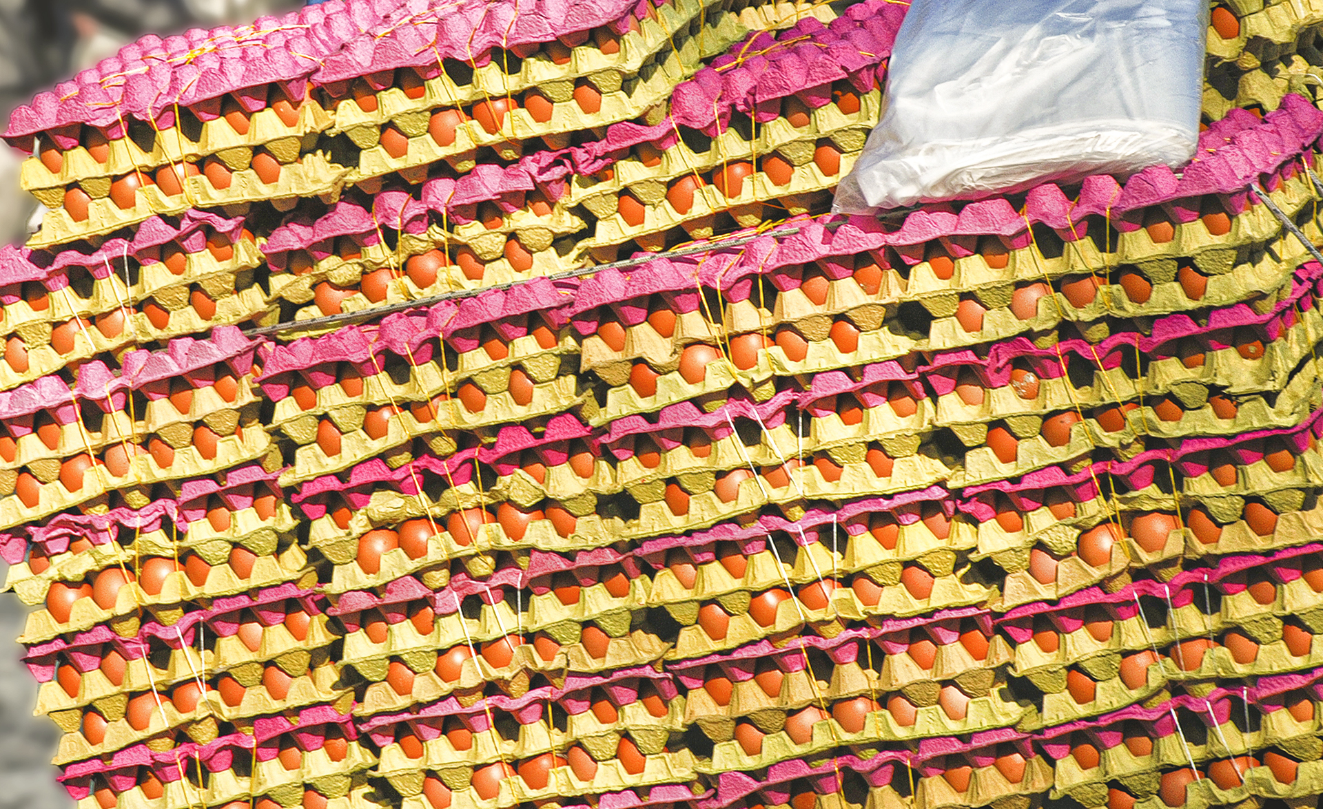 Enric Comellas. QUINS OUS