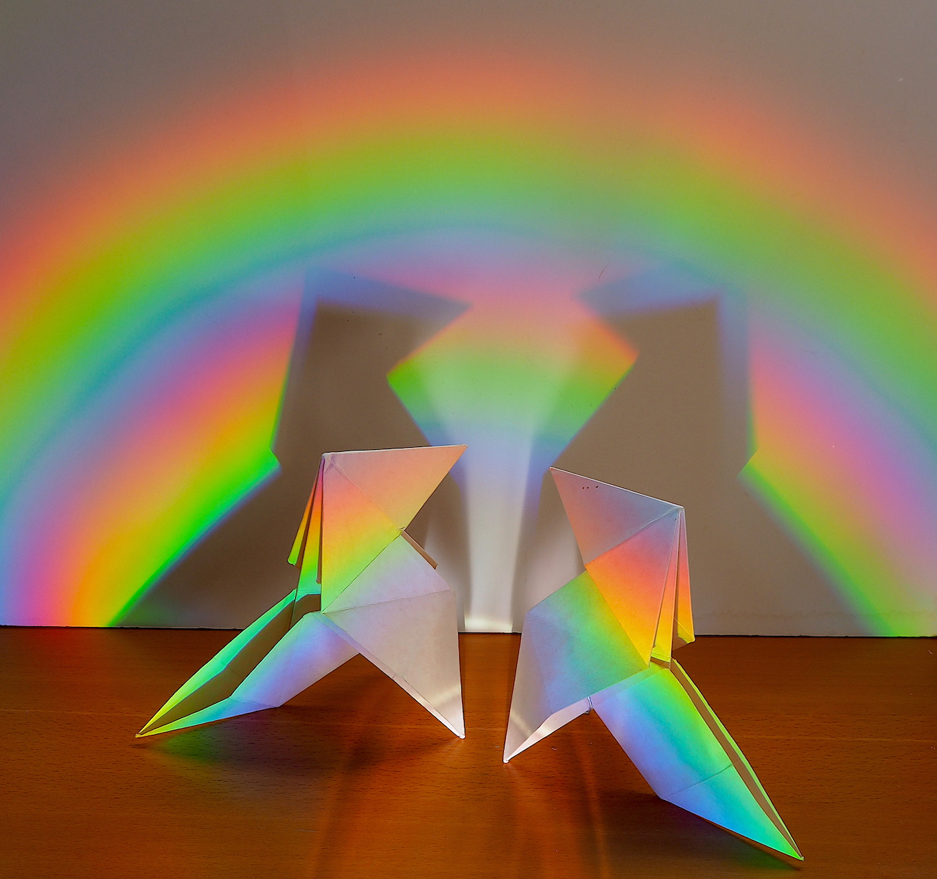 Mercè Casadellà. DISPERSIÓ