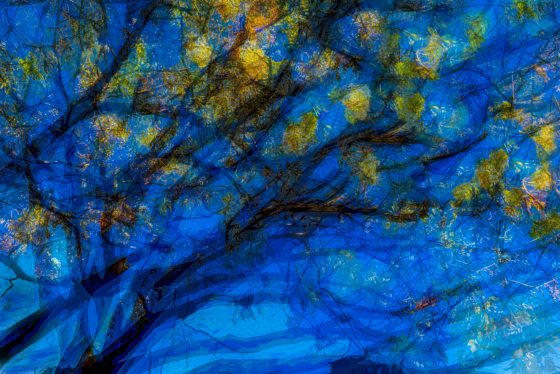 Jaume Millan. BLAU TARDOR