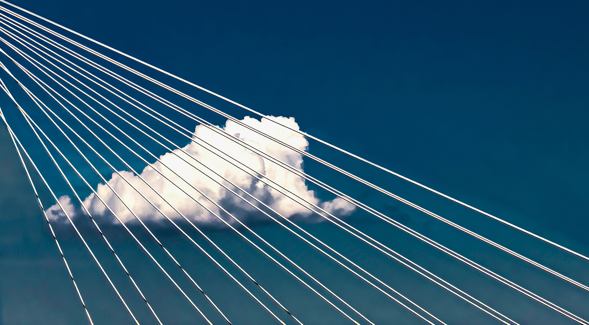 Miquel Calvet. ATRAPAT