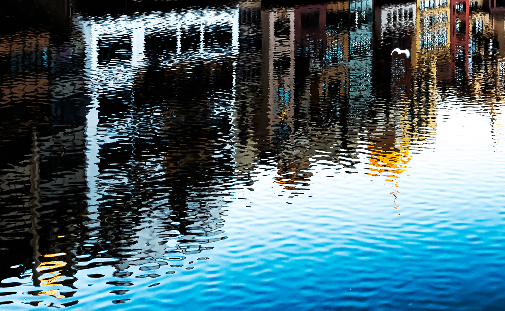 Miquel Calvet. RIU ONYAR.GIRONA