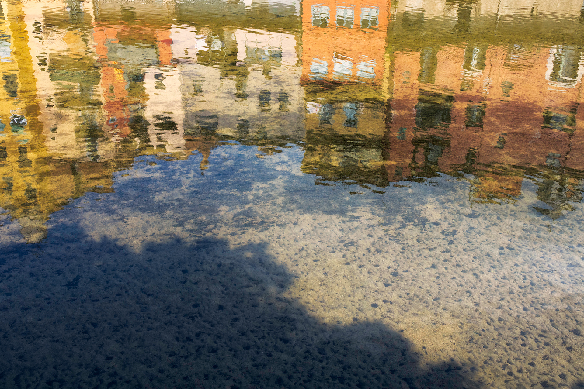 Rosa Colomé. AL RIU