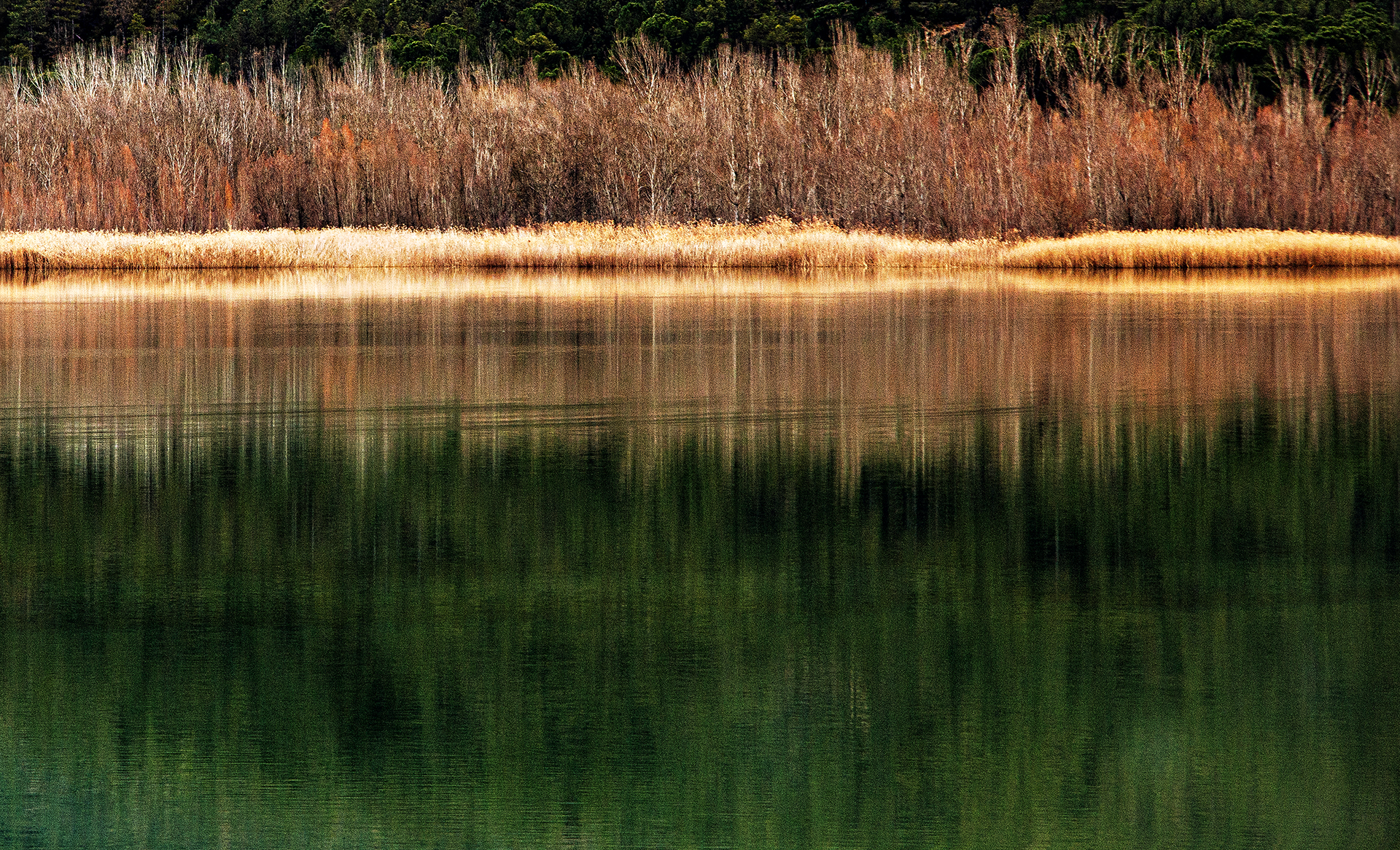 Miquel Calvet. HIVERN A TERRADETS