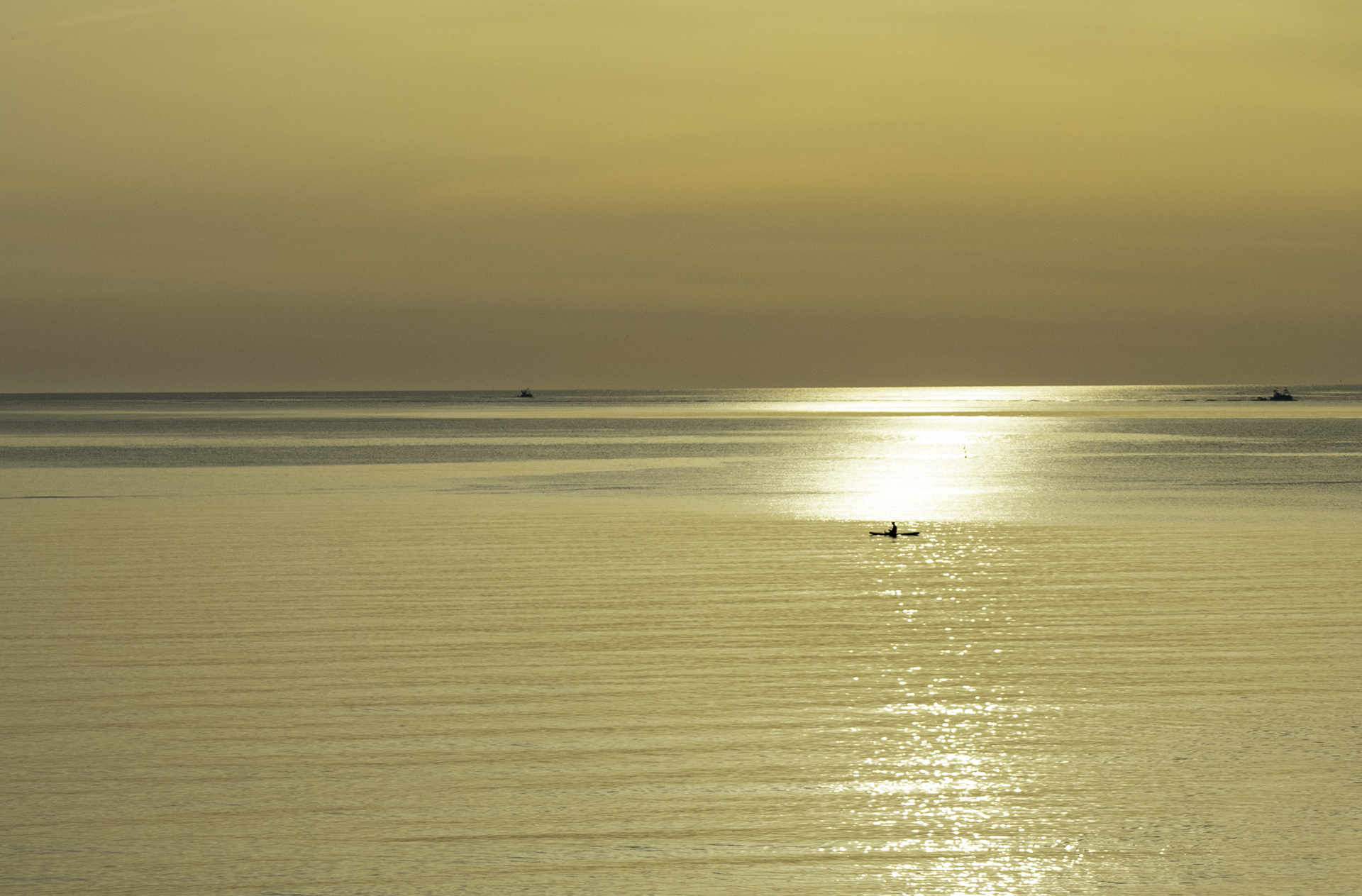 Rosa Colomé. NEIX EL DIA