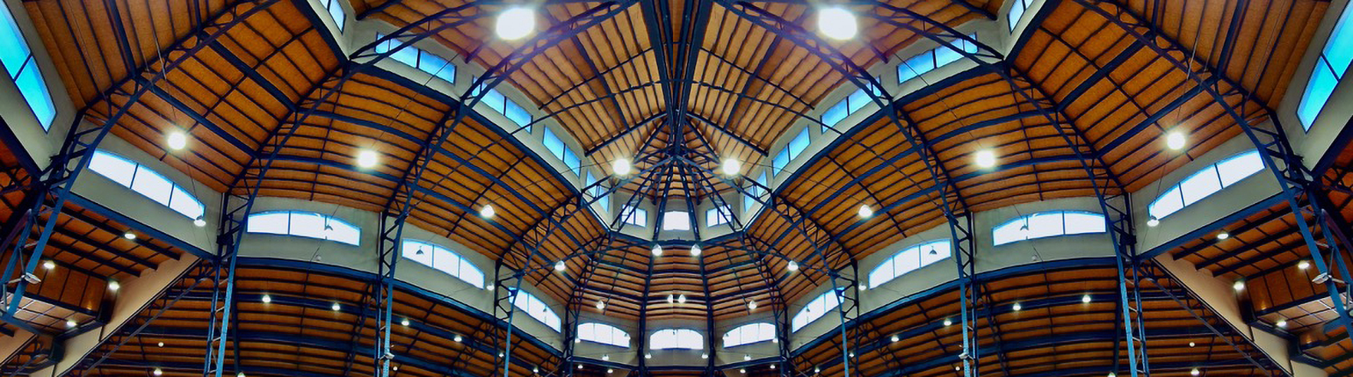 Josep Mòdol. COBERTA