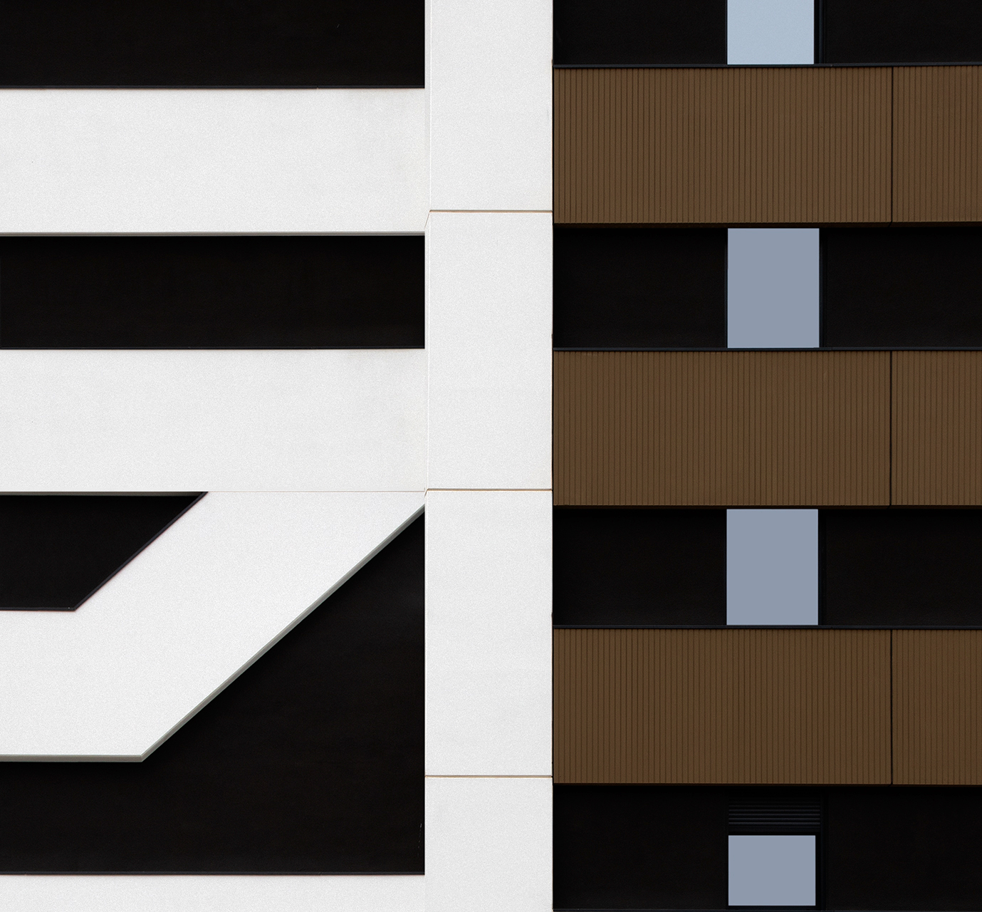 Joan Rossell. LÍNIES D'UNA FAÇANA