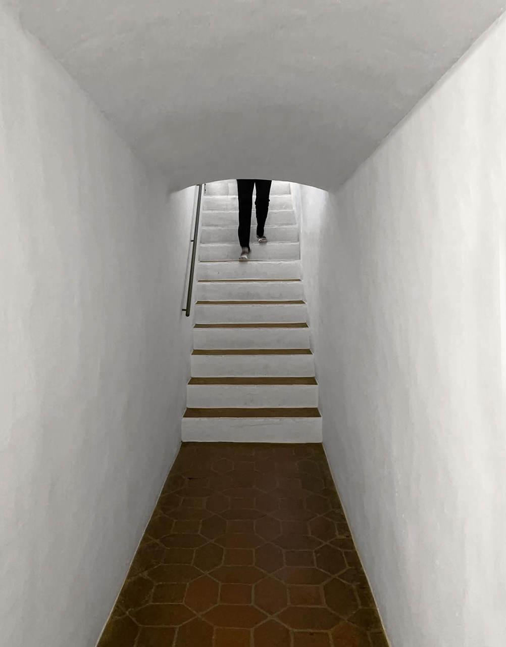 Lluís Carazo. CAMES