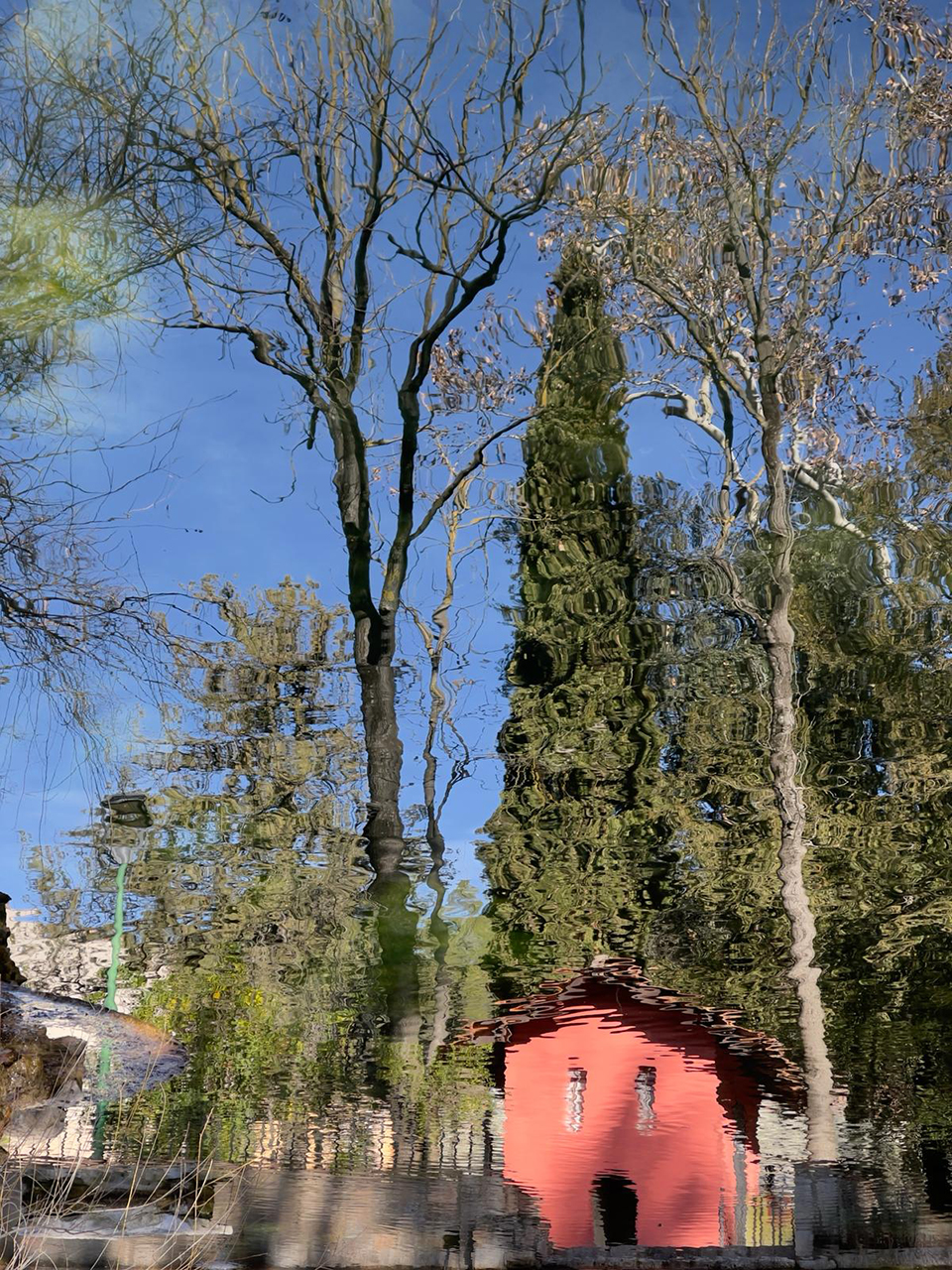 Lluís Carazo. MIRALL PERFECTE