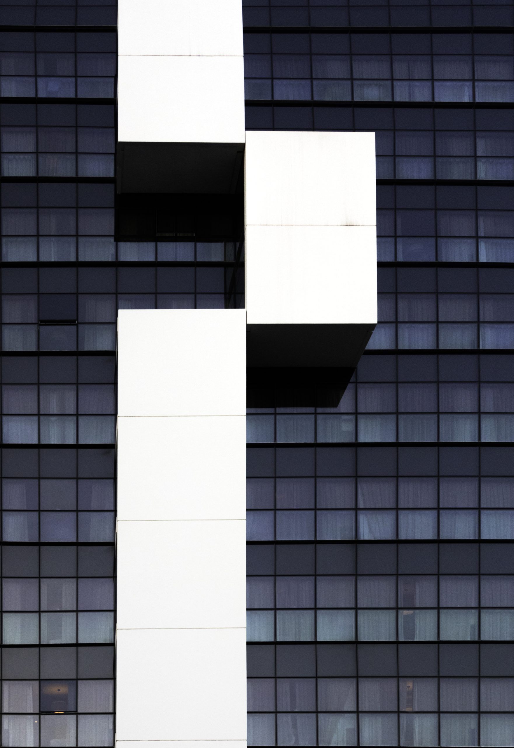 Rosa Colomé. DIAGONAL 205