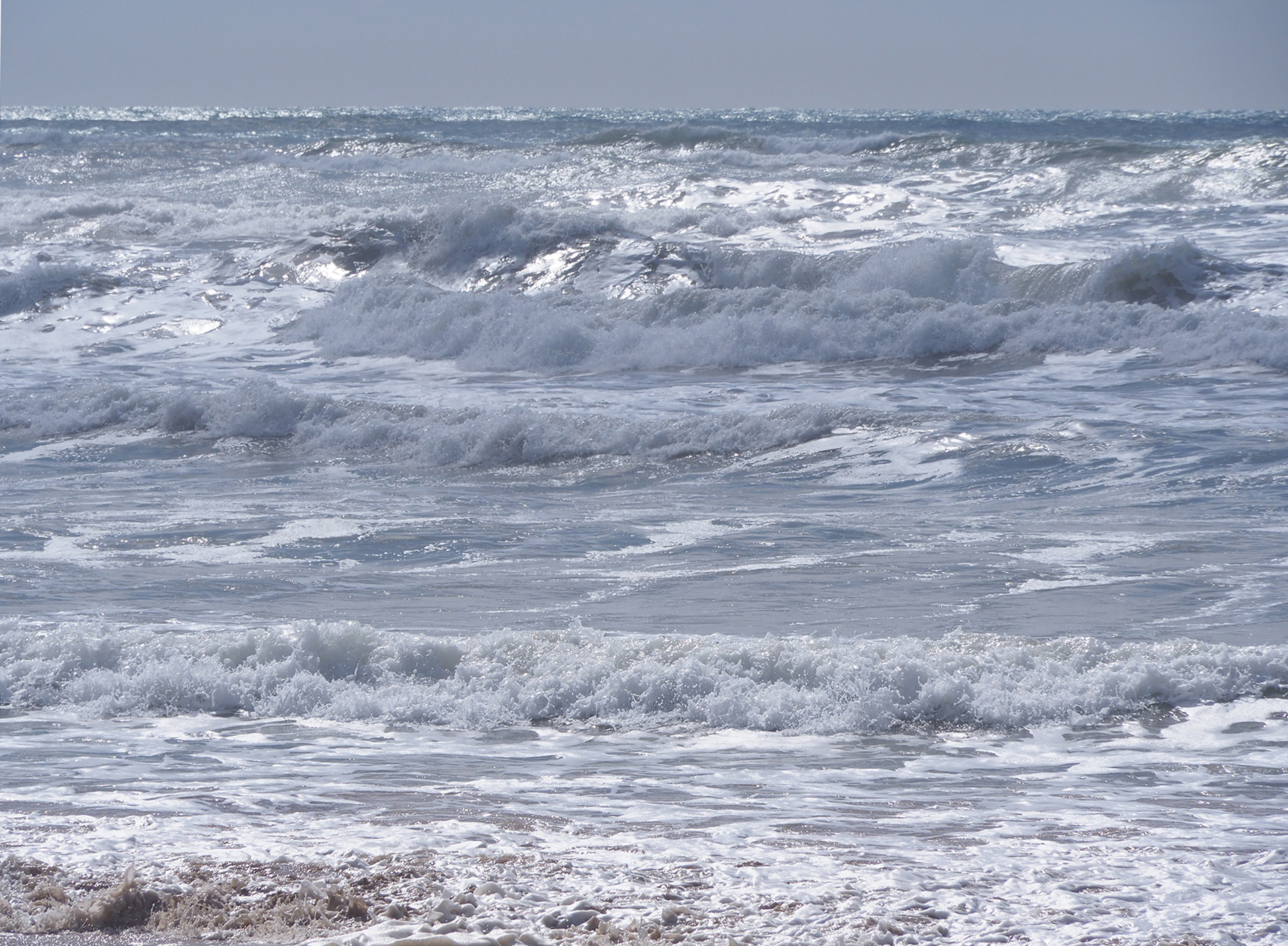 Rosa Marti. MAR REVOLUCIONAT