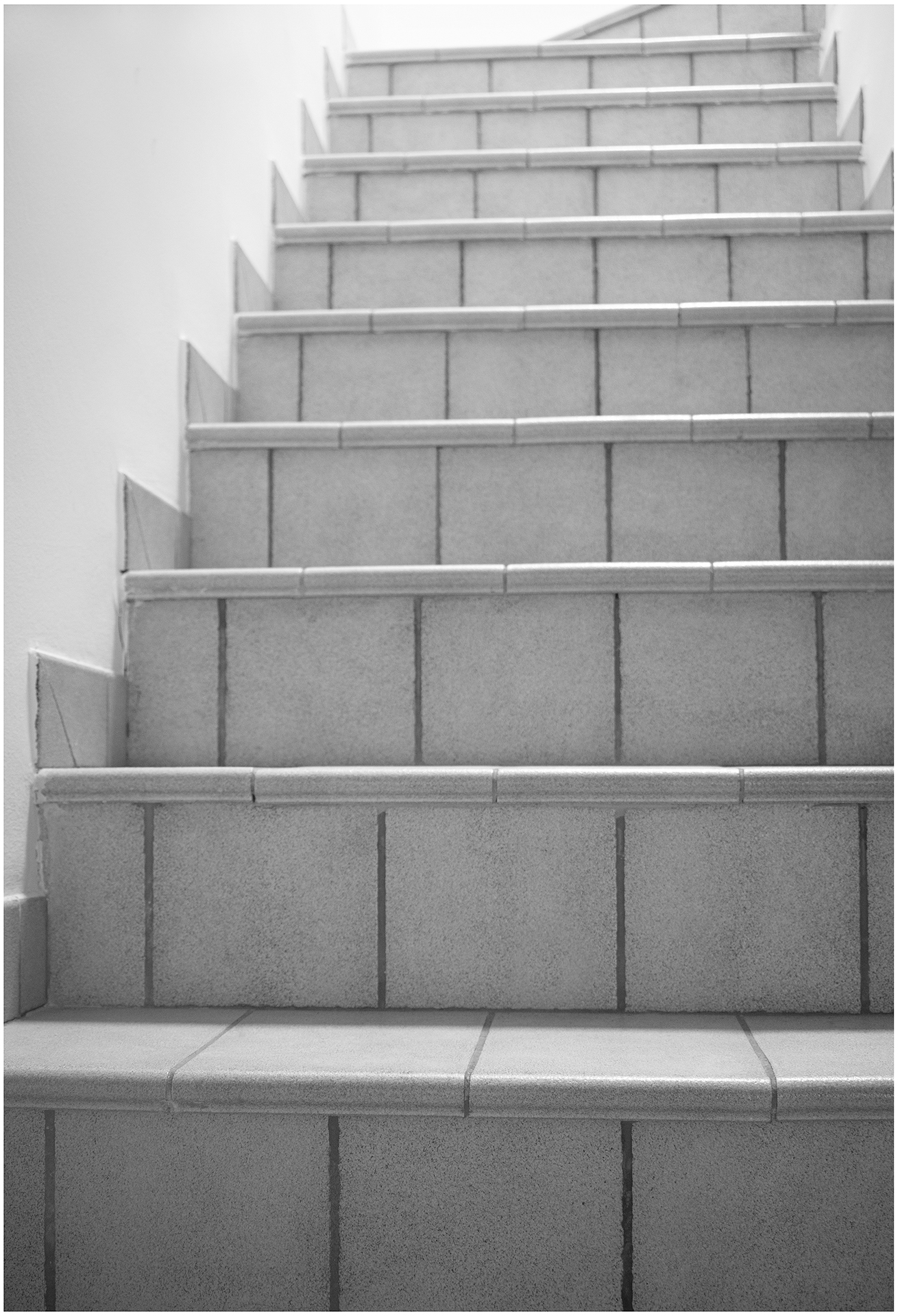 Enric Comellas. MUNT