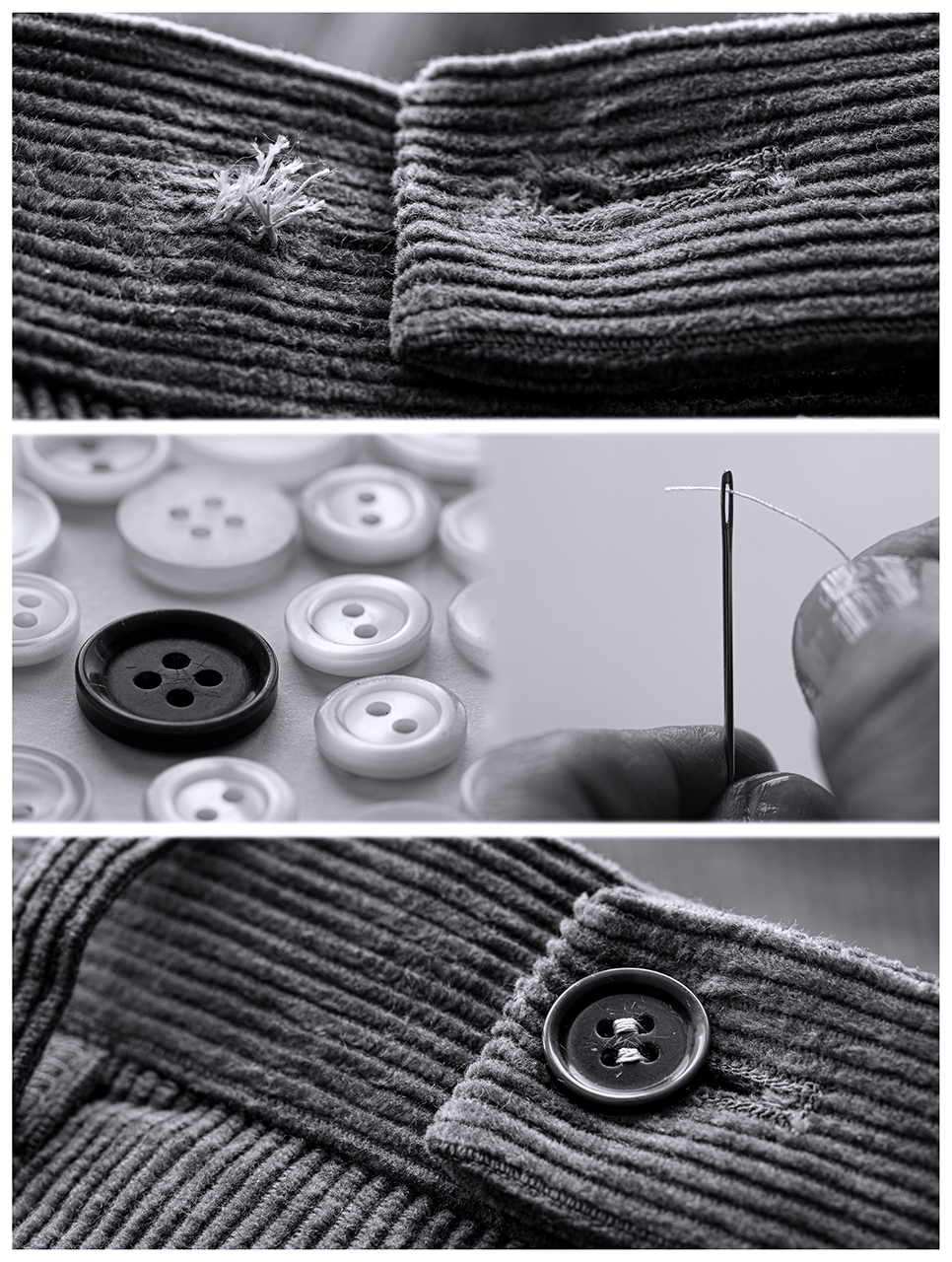 Antònio López. COSTURA