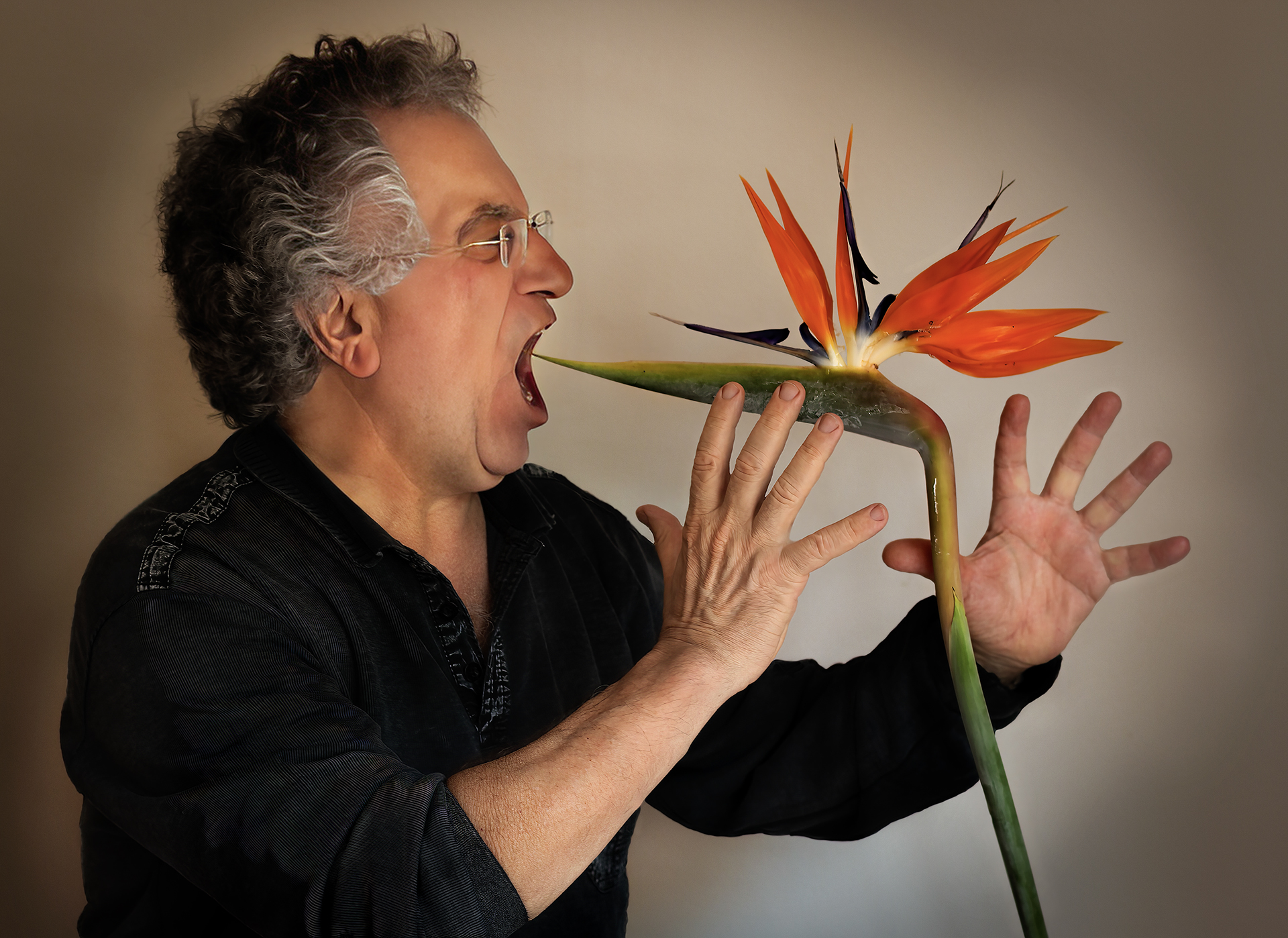 Miquel Calvet. DESESPERACIÓ. DIES DE PANDÈMIA