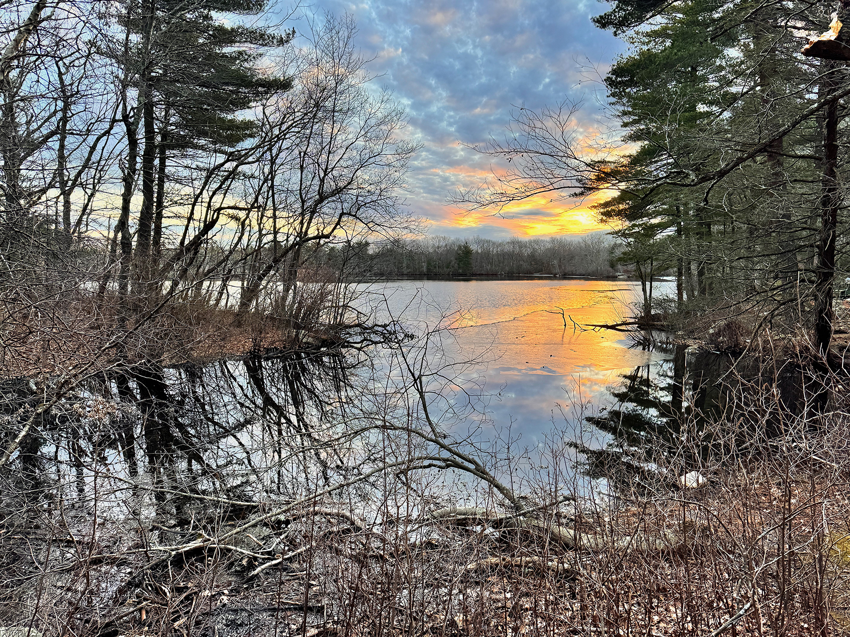 Àngels-Santesmasses. PAISATGE 1