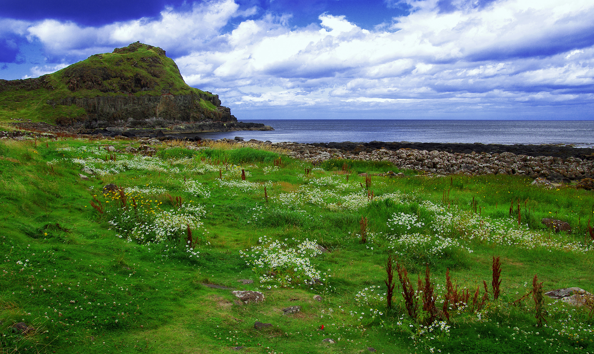 Antònio López. PAISATGE-IRLANDES-