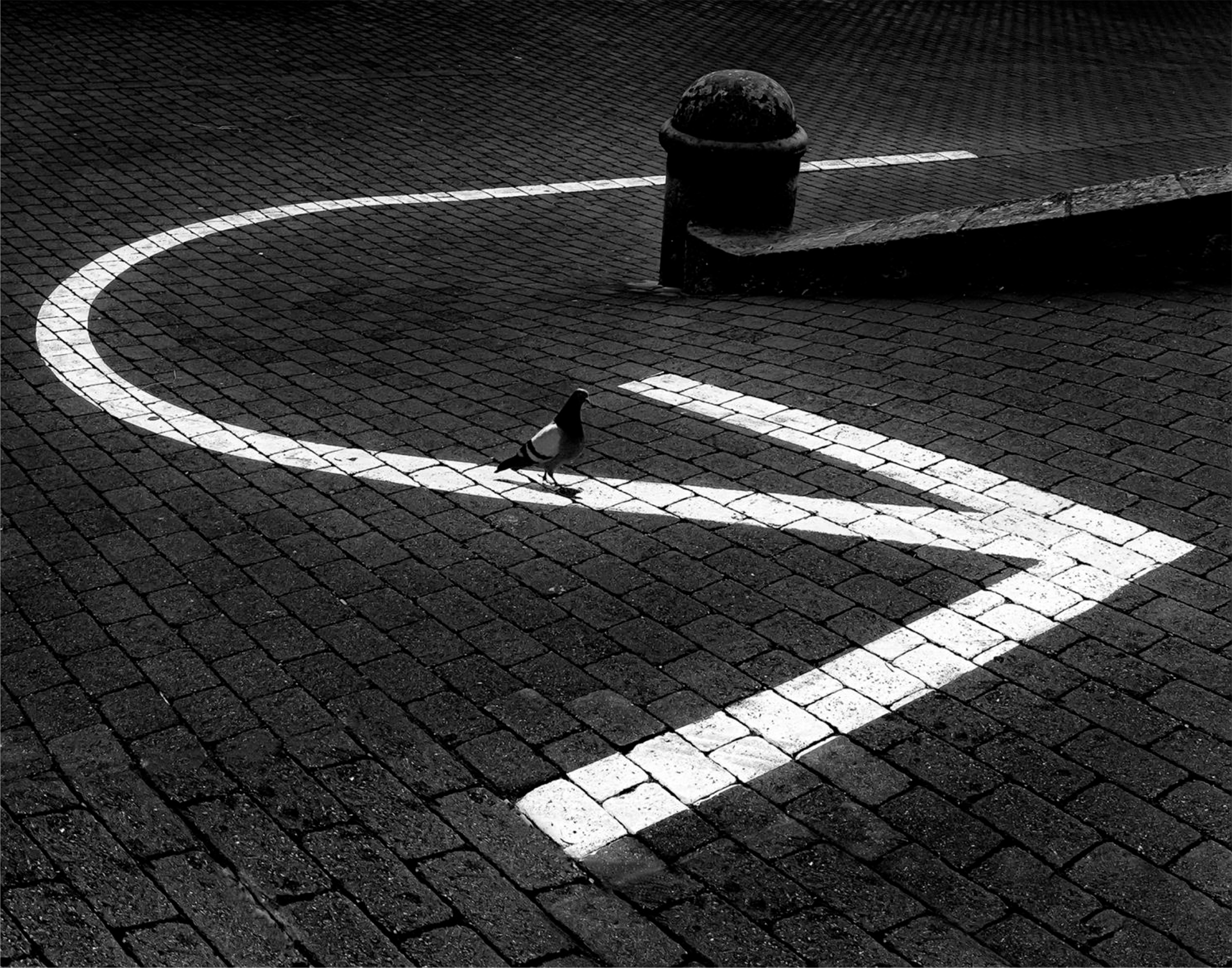 Xino-xano (Miquel Calvet). Seleccionada