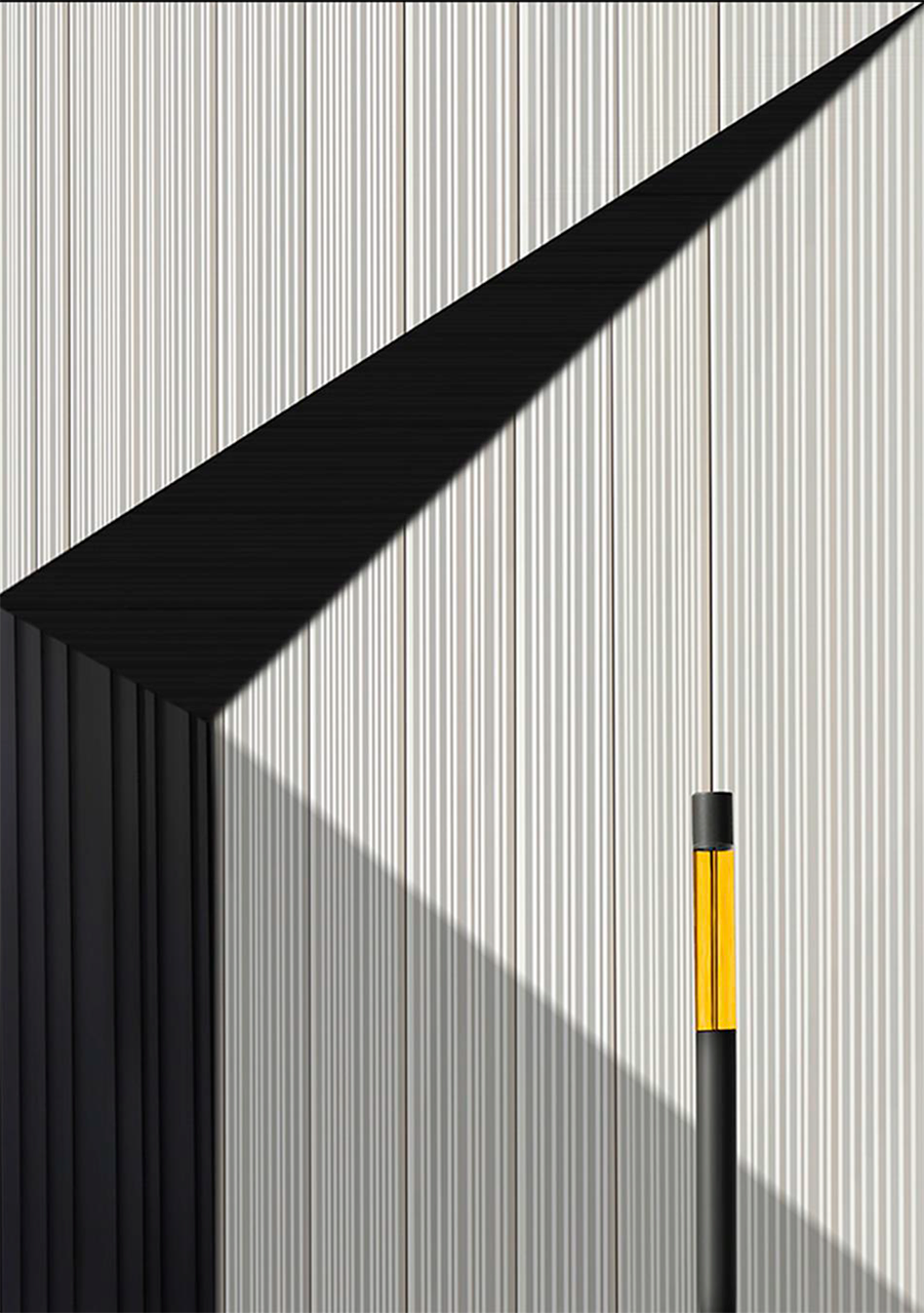 Fanals Regensburg (Rosa Colomé). 2n PREMI NACIONAL