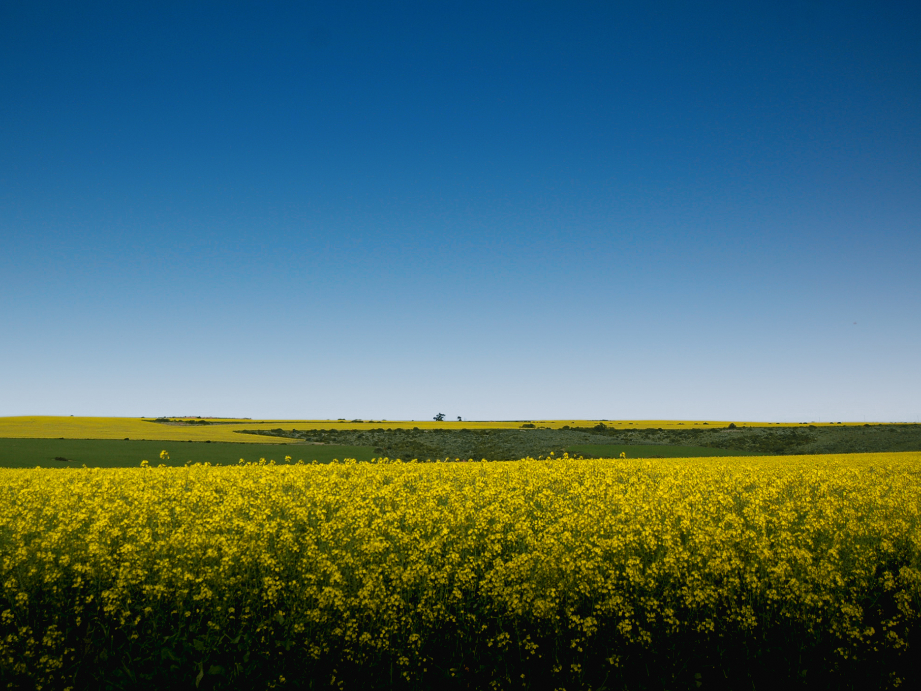 Helleke Verlinden. 1-2-3