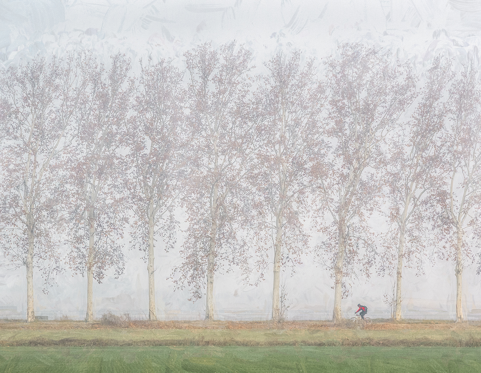 Jaume-Millan.-BOIRA-AMB-BICI