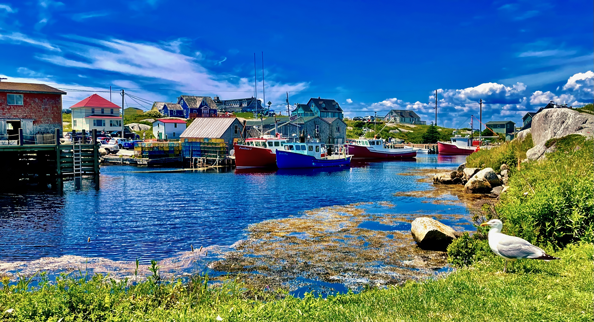 Josep Mòdol. VAIXELLS