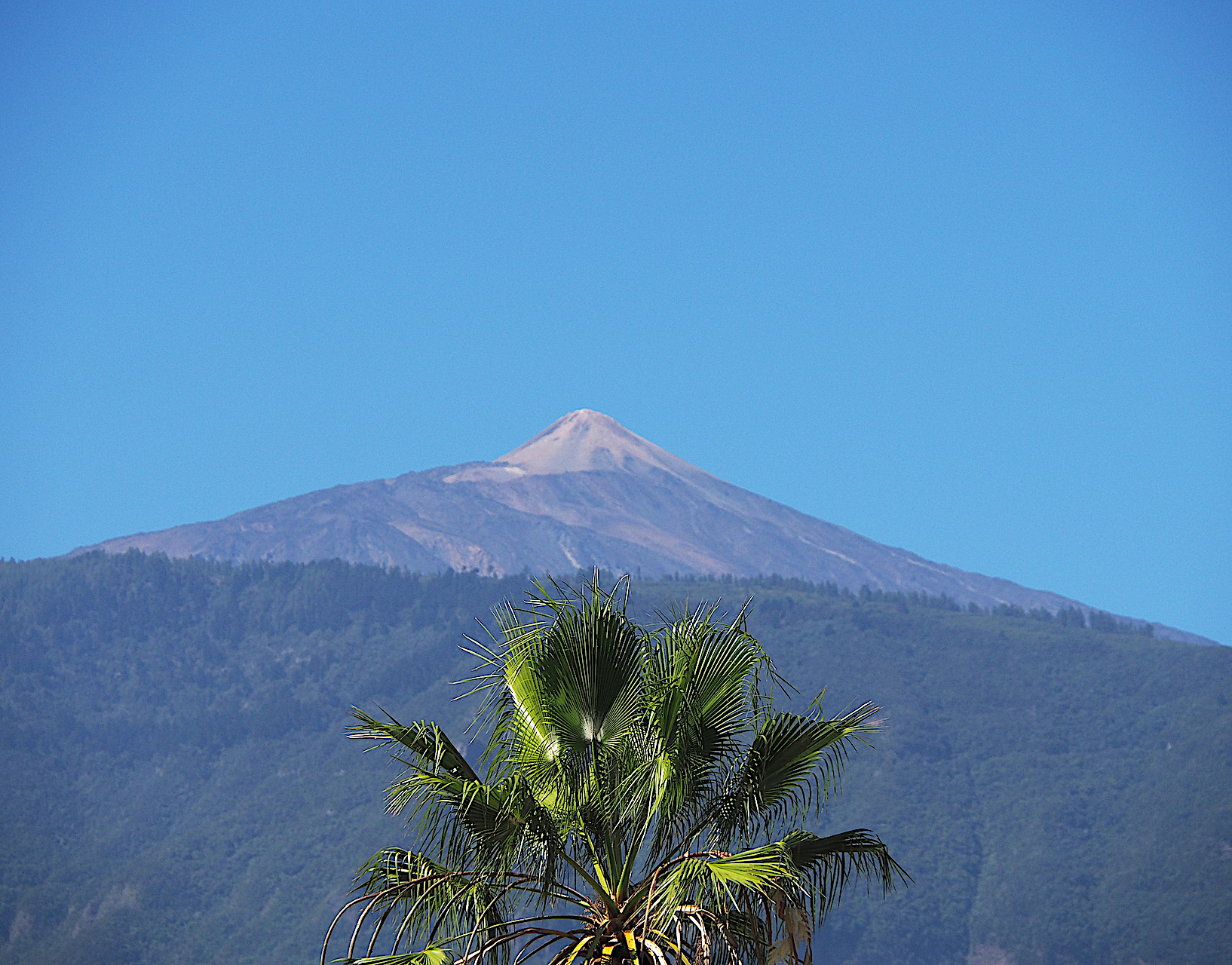 Merce Casadella. TEIDE
