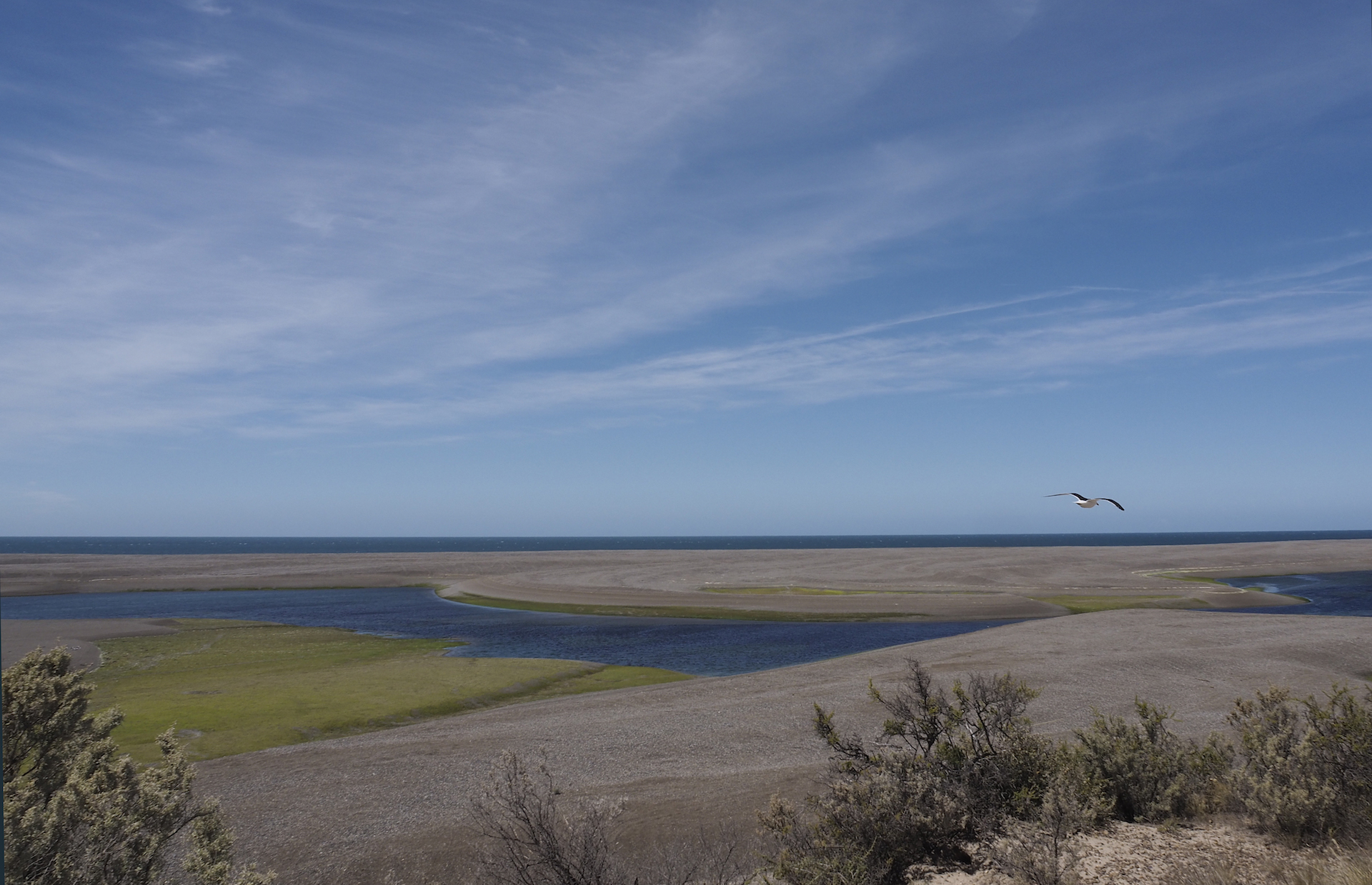 Rosa Martí. Patagònia