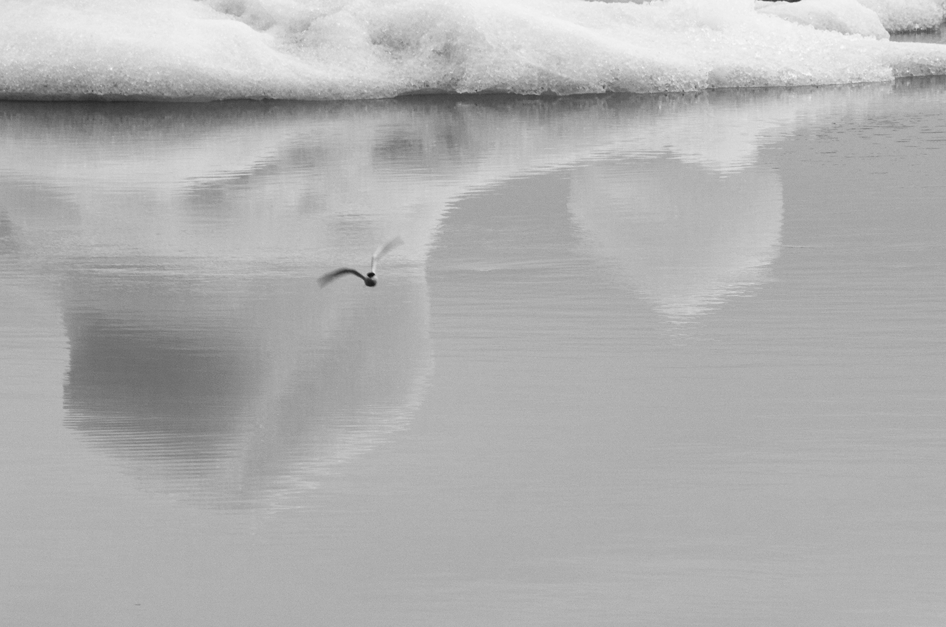 Àngels Santesmasses. AU