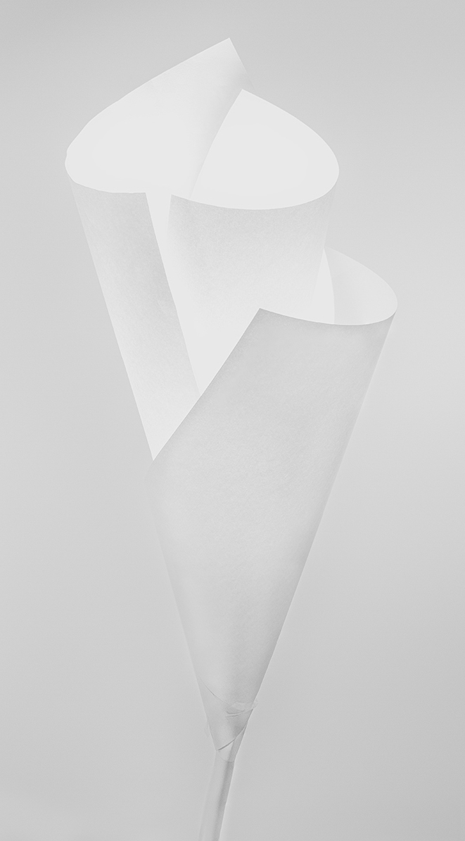 Miquel Calvet. FLOR DE LLUM