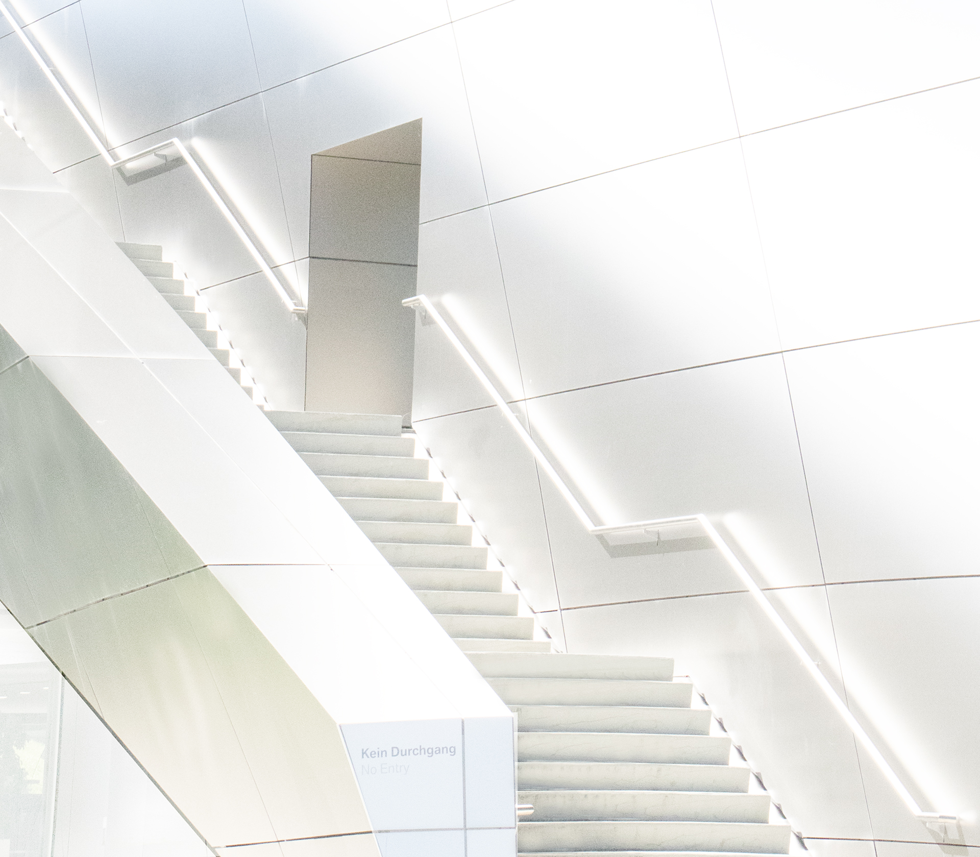 Rosa Colomé. ESCALA