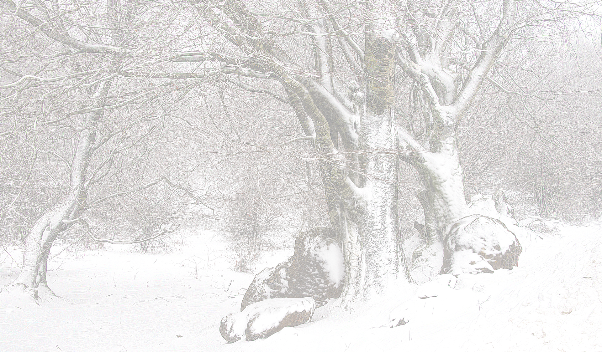 Jaume Millan. URBASA