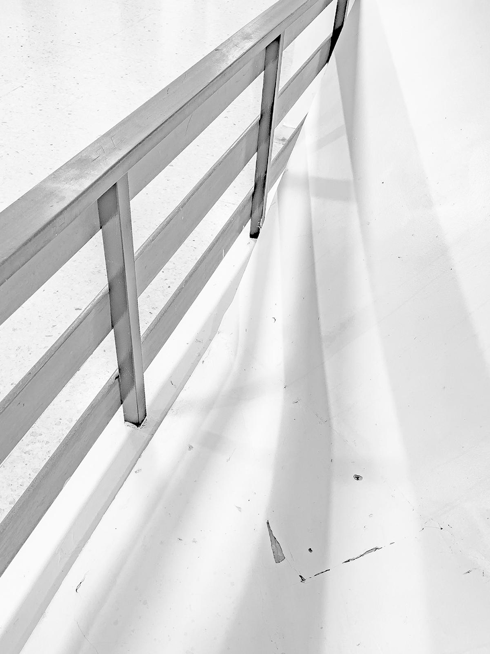 Lluís Carazo. LÍNIES