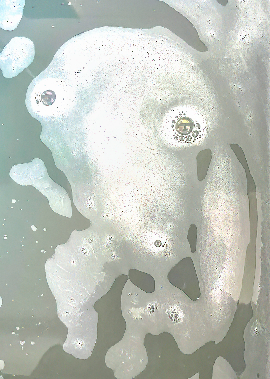 Lluís Carazo. MONSTRE