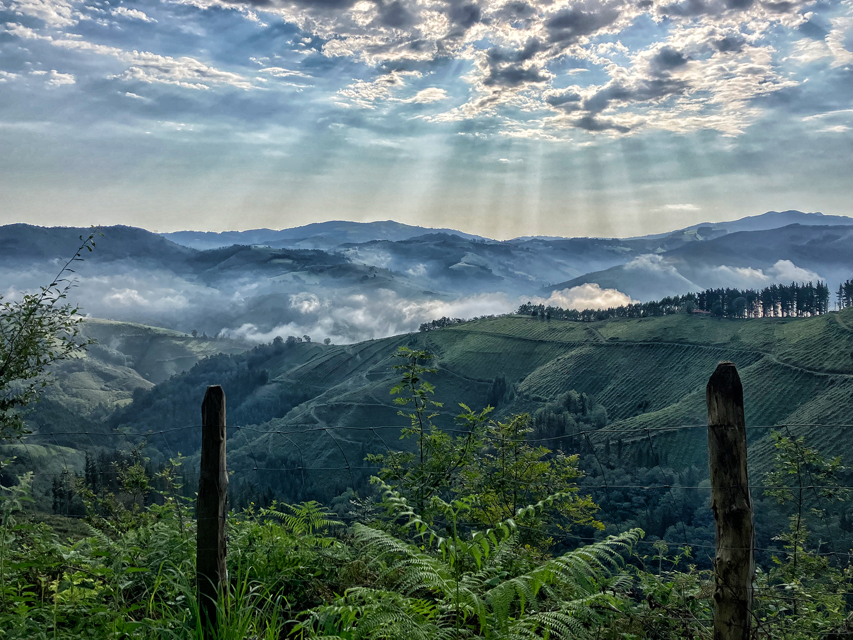 Laura-Pascual.-ZESTOA