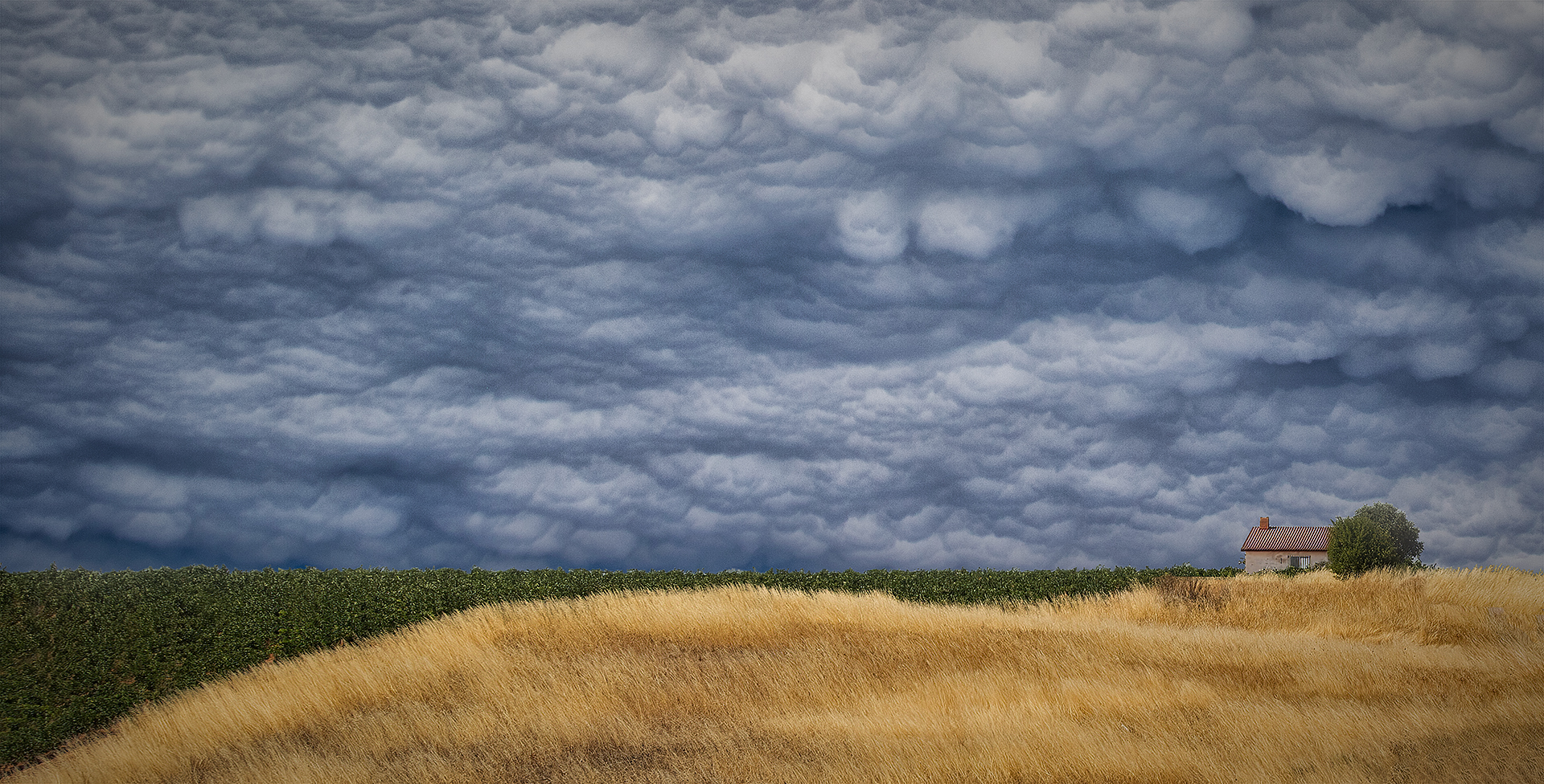 Joan Rossell. CASA A L'HORITZÓ