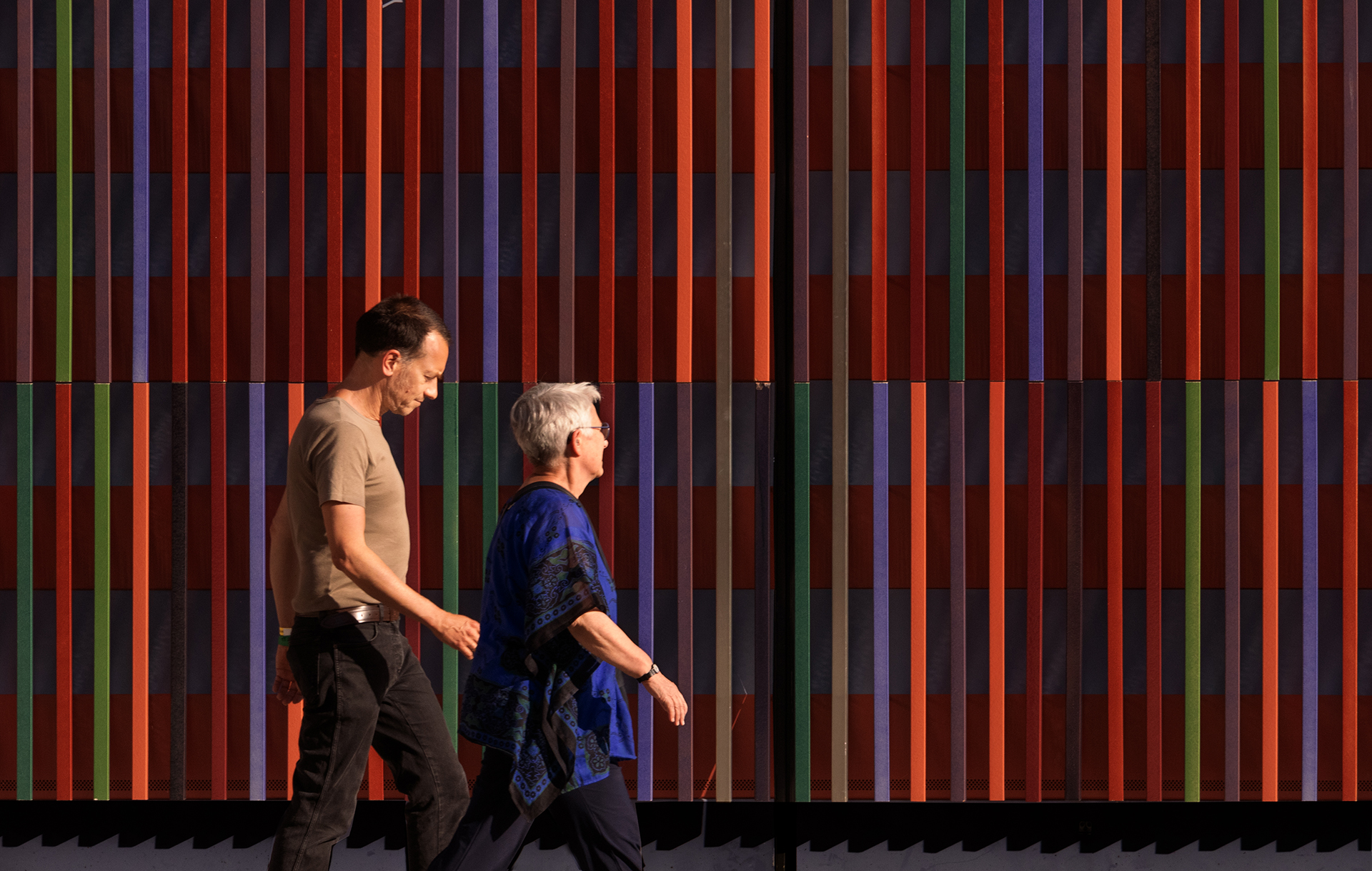 Rosa Colomé. TOT PASSEJANT PER MUNIC