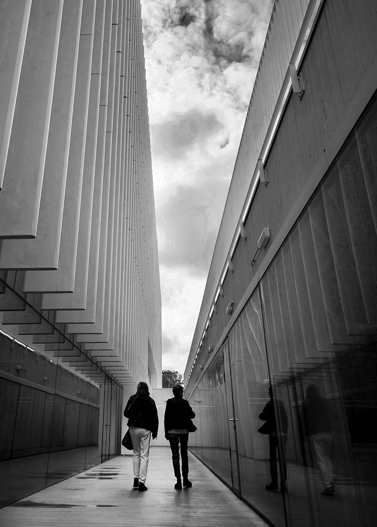 Rosa Martí. ENTRE EDIFICIS