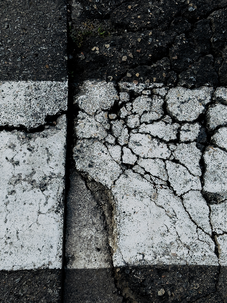 Mabel Ejarque. VIANANTS