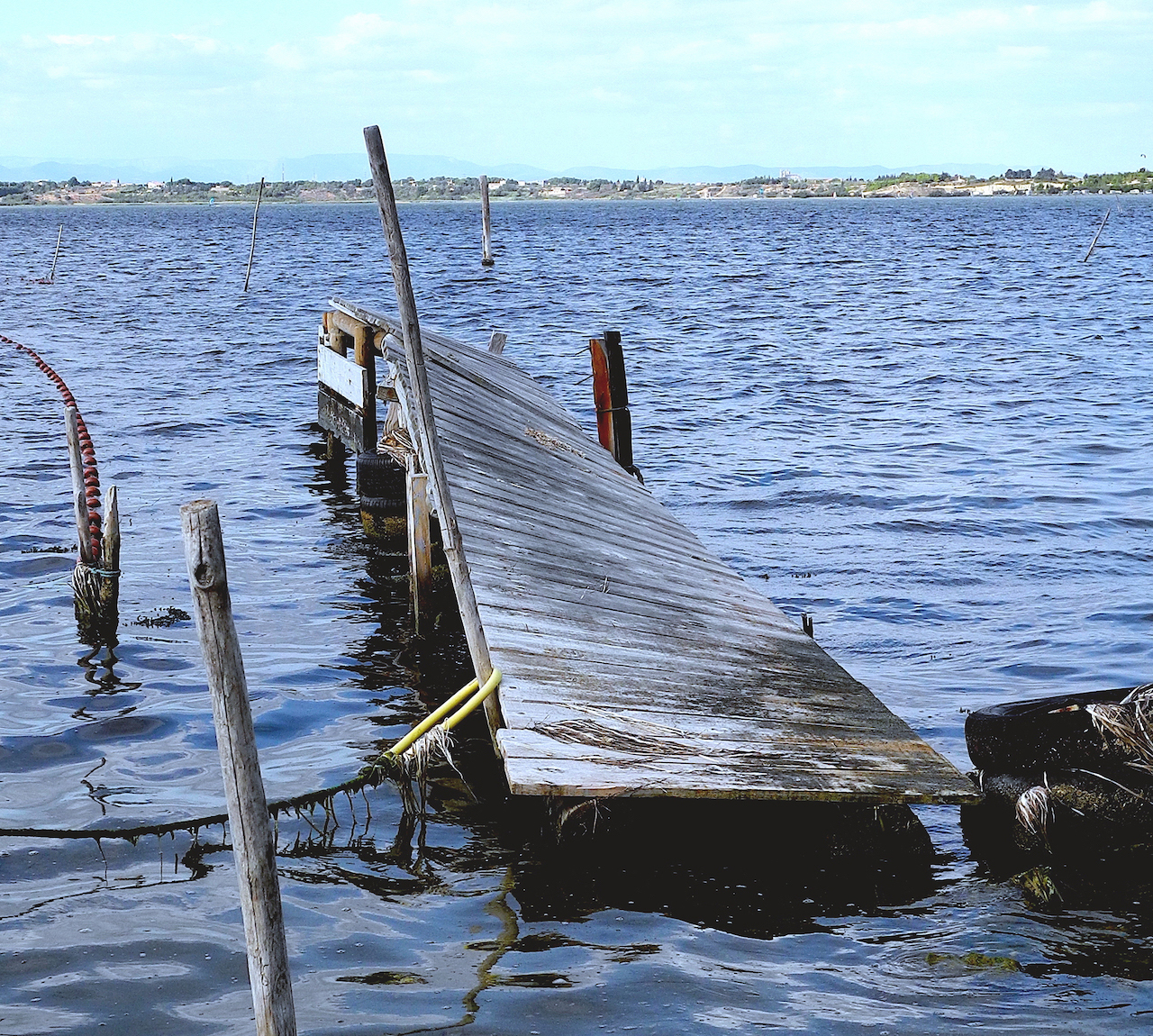 Mercè Casadellà. DELTA-de-L'EBRE