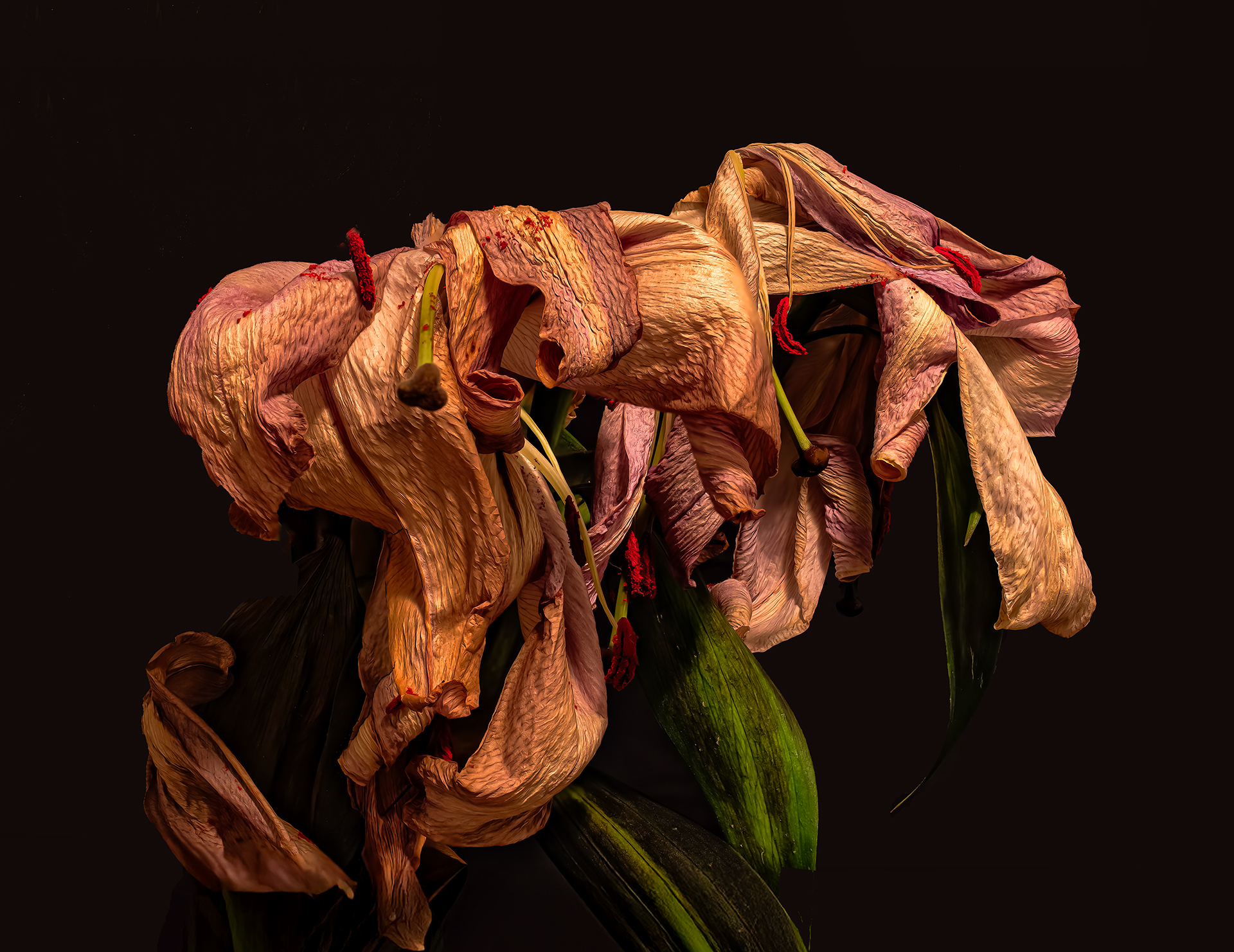 Miquel Calvet. MARCIMENT