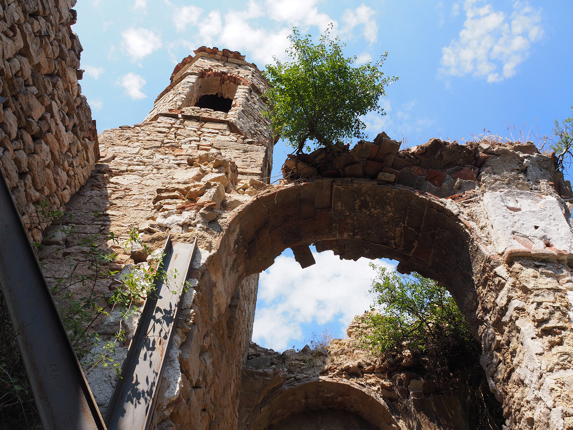 Rosa Martí. MUSSARRA 1