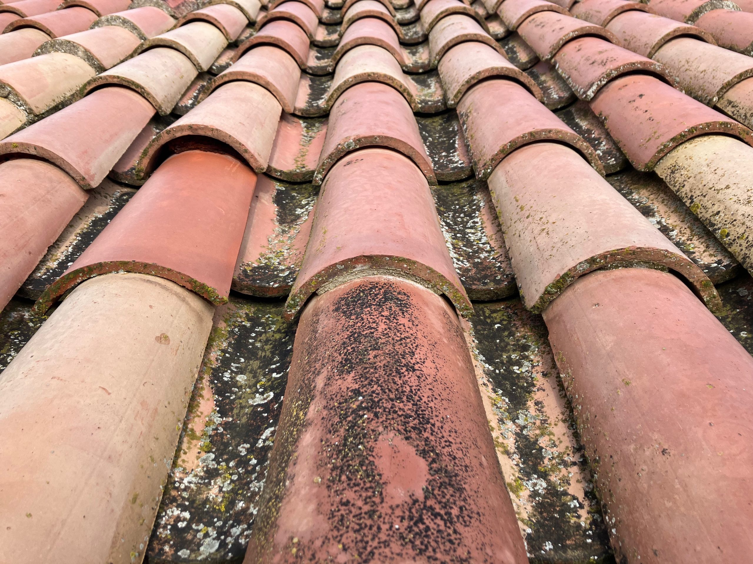 Laura Pascual. TEULAT