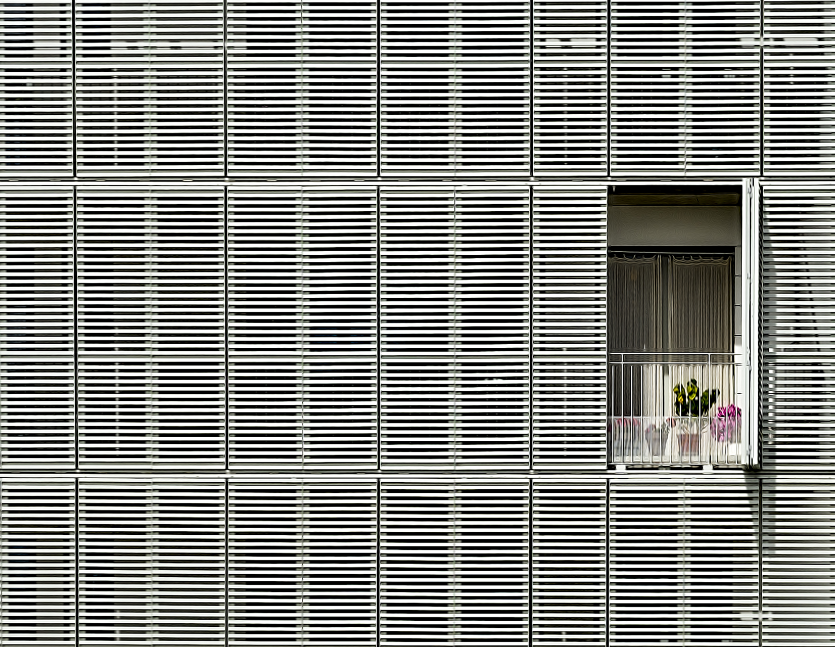 Jaume Millan. OBERT-AL-SOL