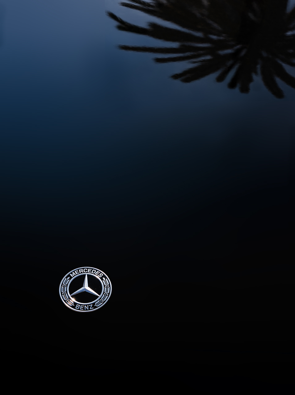 Miquel Calvet. MERCEDES