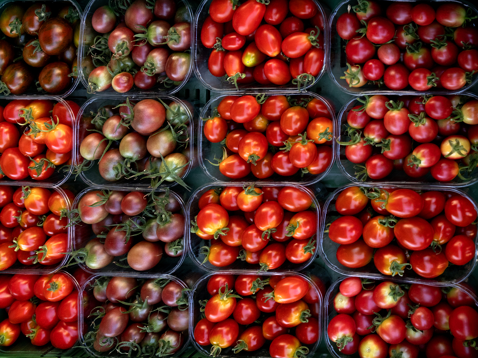 Rosa Colomé. AL MERCAT