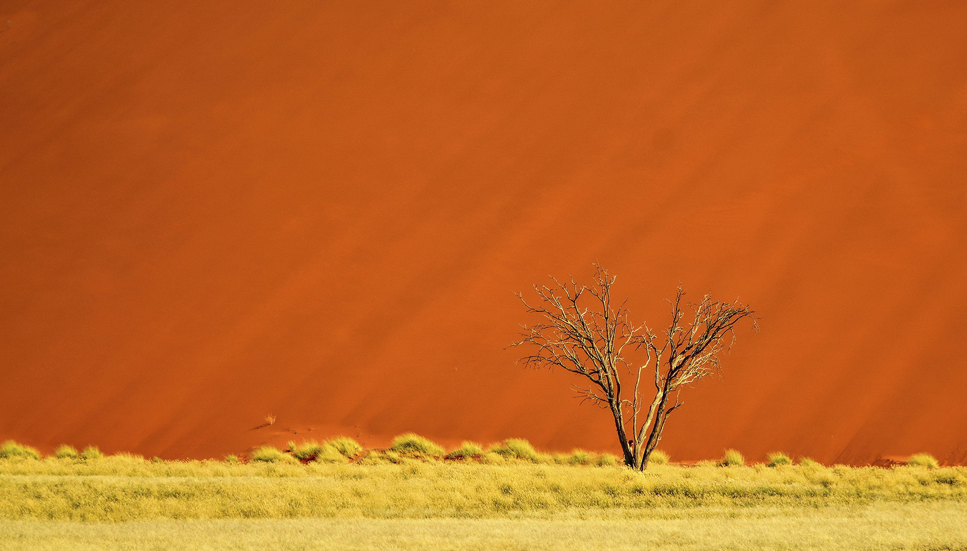 Joan M Rubió. SOSSUSVIEL