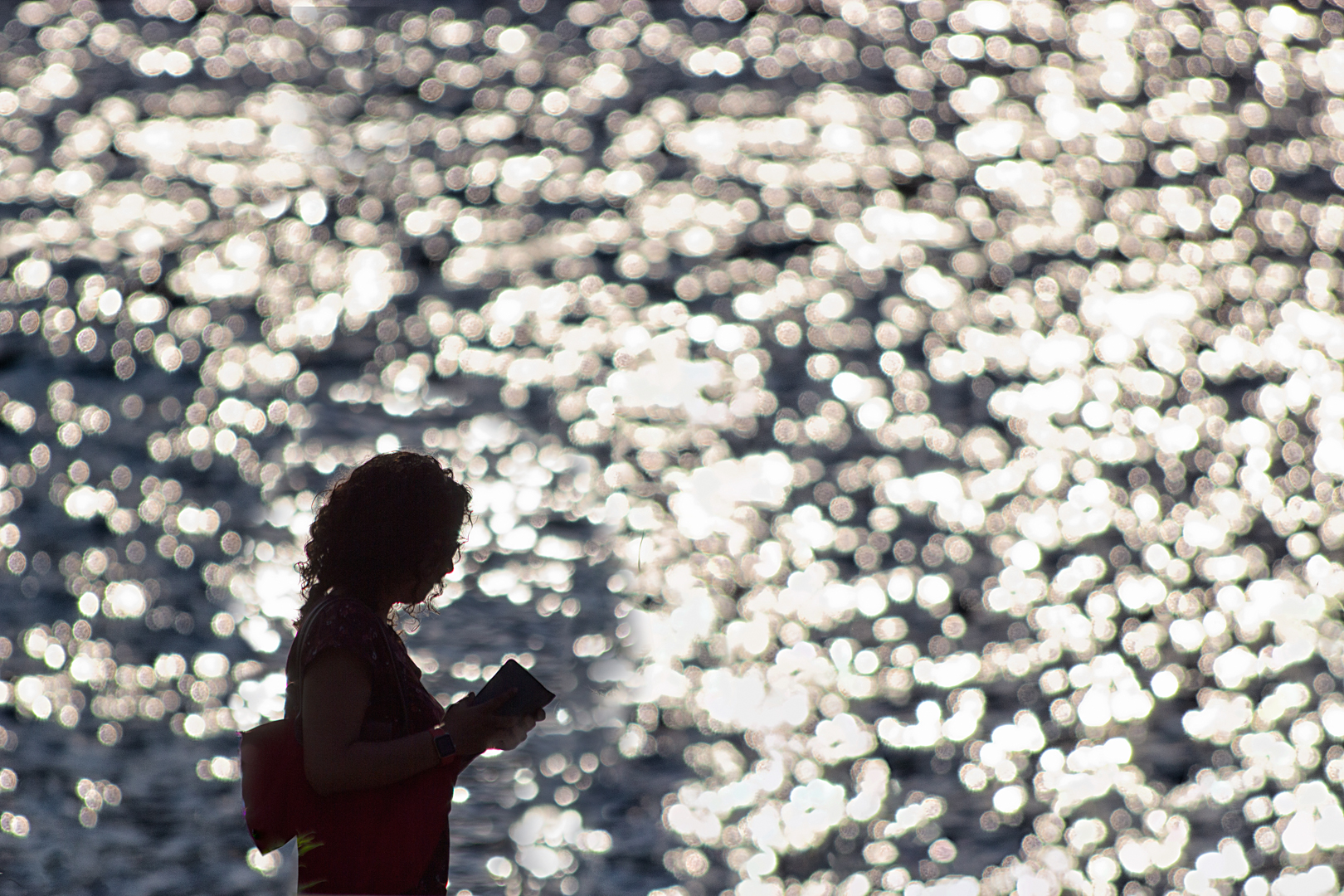 Joan Rossell. LECTURA