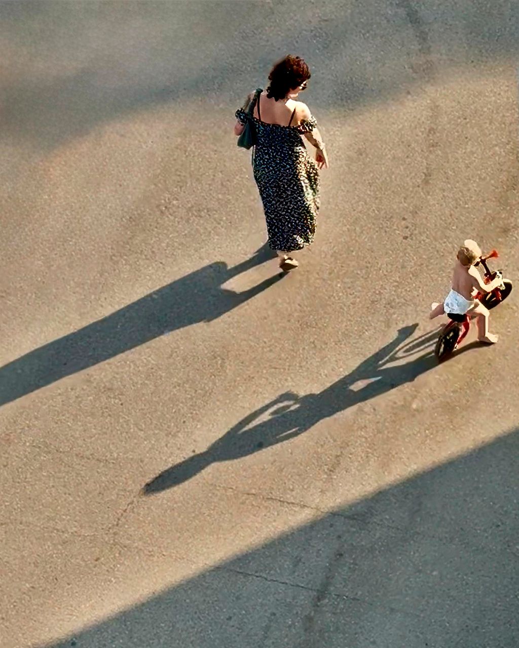 Lluís Carazo. PRENENT JA DECISIONS PRÒPIES